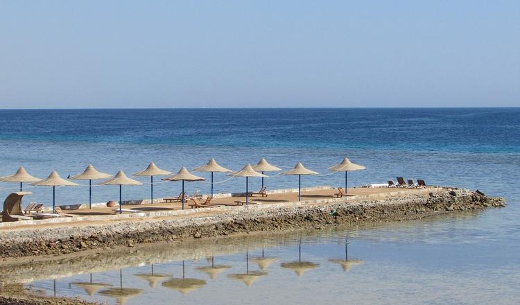 EgyptAir открывает чартерную программу на курорты Красного моря из аэропорта Домодедово
