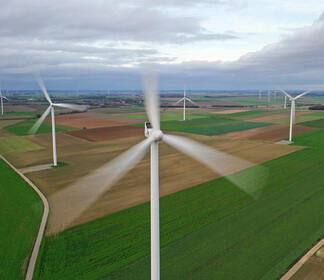 «Зеленая» экономика установила рекорд: Рынки: Экономика: Lenta.ru