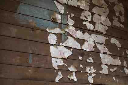 Фото: Brian Snyder / Reuters