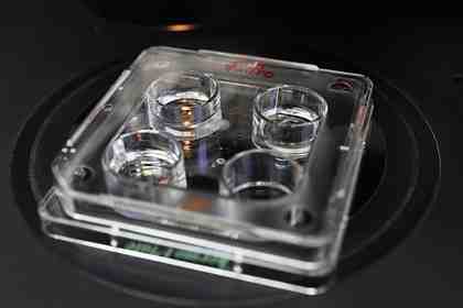 Эмбрионы для ЭКО