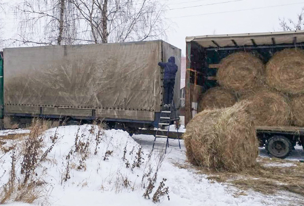 Быт адептов секты Гошала Адити, в которую попал Виктор Дружич