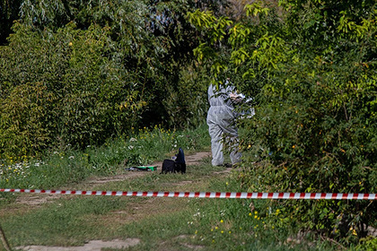 Место обнаружения пакета с телом Насти Муравьевой