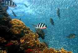 Патент недели: как проводить глубоководные исследования