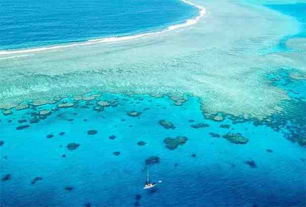 Рифы Минерва