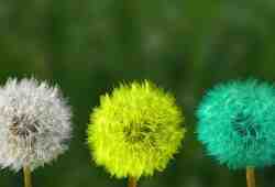 Ментальные искажения: почему мы мыслим нерационально