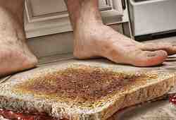 Что упало - не&nbsp;пропало: правда ли быстро поднятое не&nbsp;считается упавшим