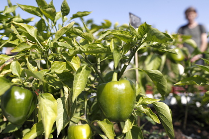 Архивное фото