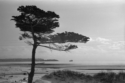 Остров Кунашир