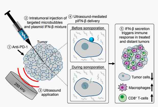 Схема эксперимента