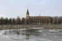 Кафедральный собор в Калининграде.