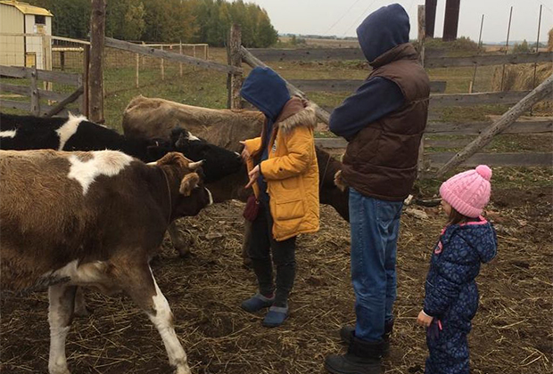 Быт адептов секты Гошала Адити, в которую попал Виктор Дружич