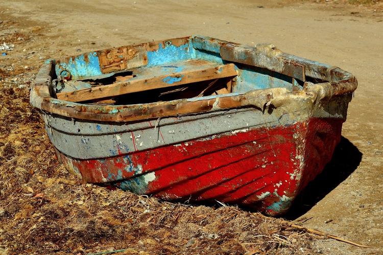 Испанские семейные пляжи оказались завалены тоннами водорослей