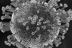 Коронавирус может спровоцировать волну инфекционных заболеваний