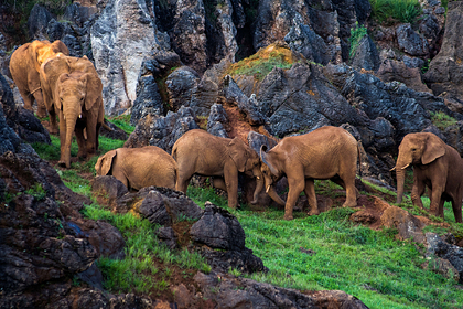 Архивное фото