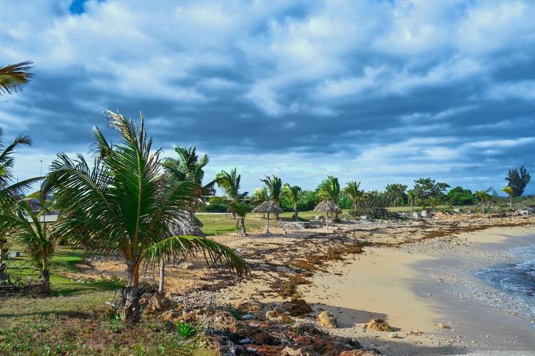 Топ-8 лучших пляжей Кубы, до которых легко добраться самостоятельно