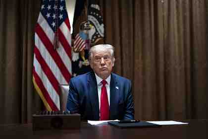 Дональд Трамп                  